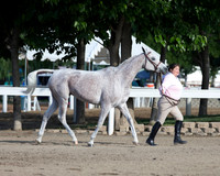 DAHA_SH18_THURS_7292