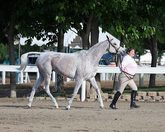 DAHA_SH18_THURS_7292