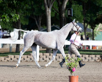 DAHA_SH18_THURS_7293