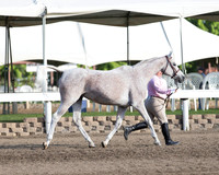 DAHA_SH18_THURS_7296