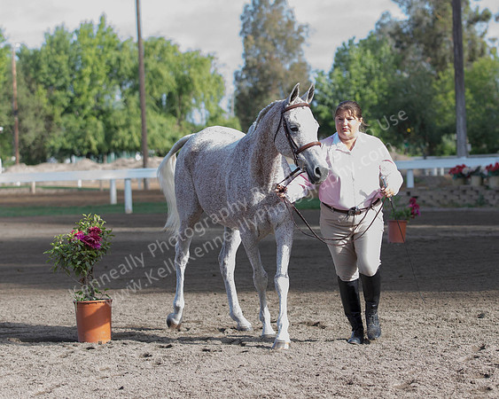 DAHA_SH18_THURS_7317