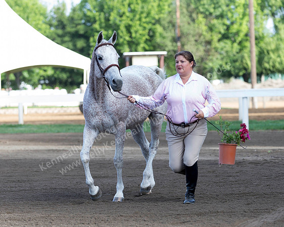 DAHA_SH18_THURS_7326