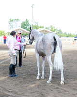 DAHA_SH18_THURS_7331