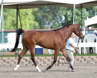 DAHA_SH18_THURS_7347