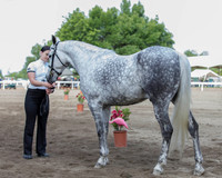 DAHA_SH18_THURS_7360