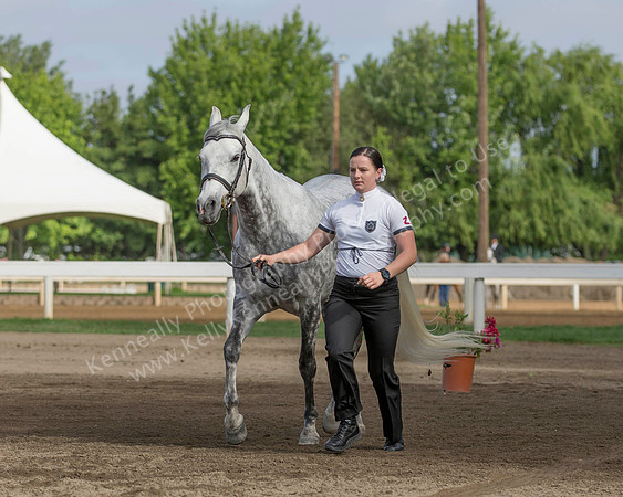 DAHA_SH18_THURS_7374