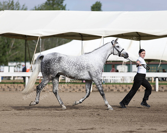 DAHA_SH18_THURS_7371