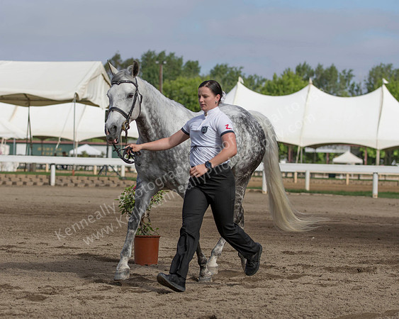 DAHA_SH18_THURS_7376