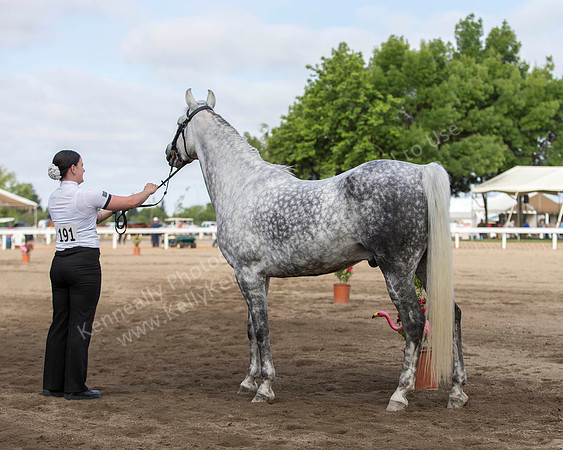 DAHA_SH18_THURS_7379