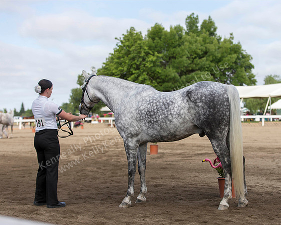 DAHA_SH18_THURS_7381