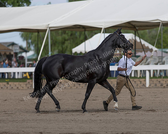 DAHA_SH18_THURS_7399