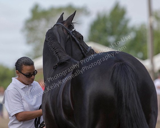 DAHA_SH18_THURS_7408