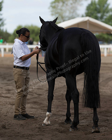 DAHA_SH18_THURS_7410