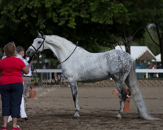 DAHA_SH18_THURS_7414