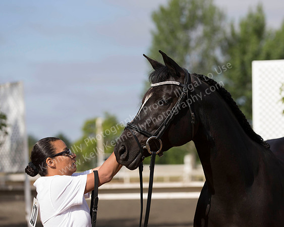 DAHA_SH18_THURS_7418