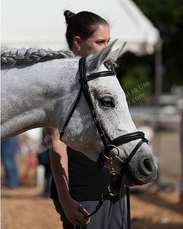 DAHA_SH18_THURS_7420