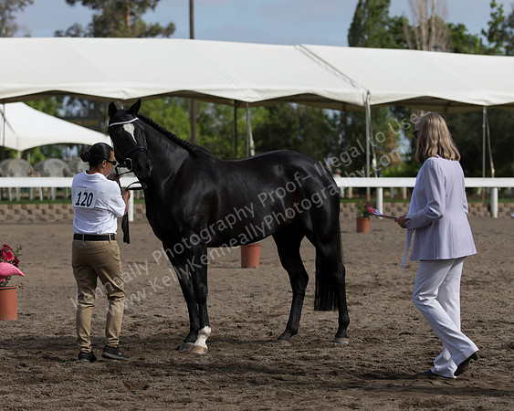 DAHA_SH18_THURS_7424