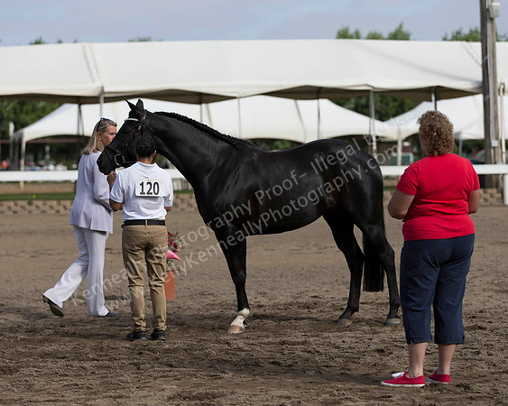 DAHA_SH18_THURS_7427