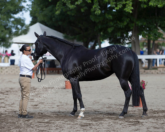 DAHA_SH18_THURS_7430