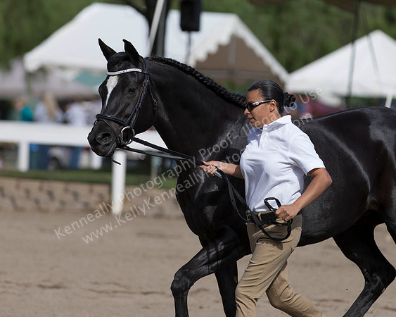 DAHA_SH18_THURS_7447