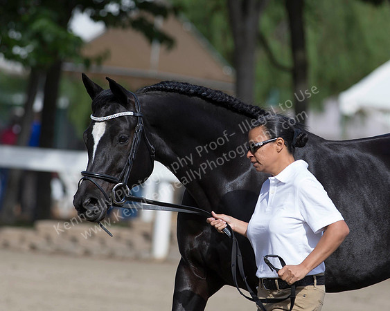 DAHA_SH18_THURS_7448