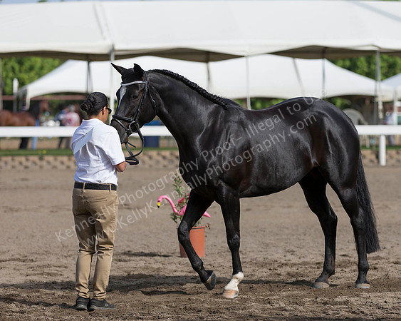 DAHA_SH18_THURS_7449