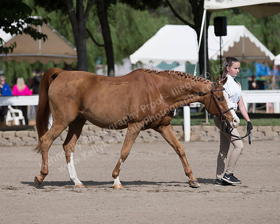 DAHA_SH18_THURS_7474