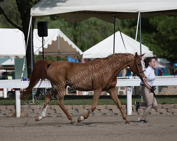 DAHA_SH18_THURS_7482