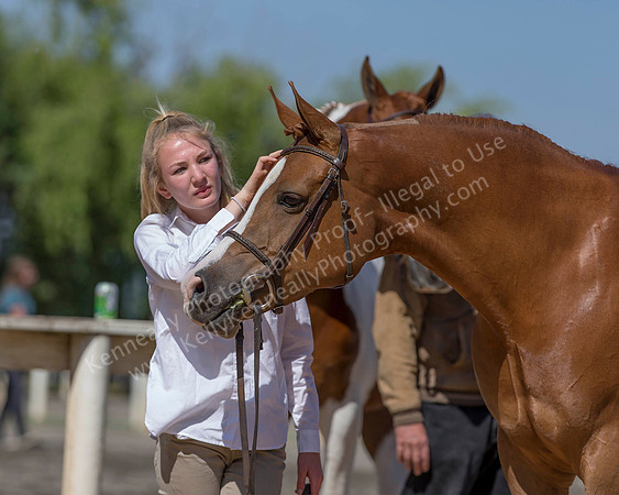 DAHA_SH18_THURS_7514