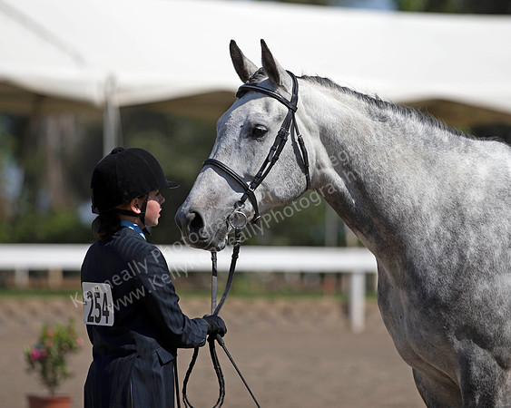 DAHA_SH18_THURS_7527