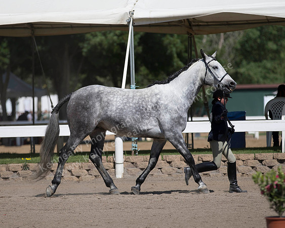 DAHA_SH18_THURS_7542