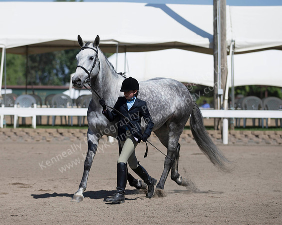 DAHA_SH18_THURS_7547