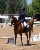 Dressage