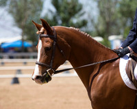 DAHA_SH18_THURS_7589
