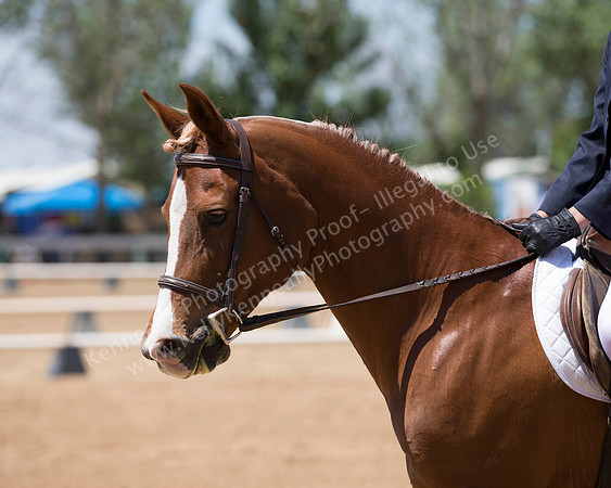 DAHA_SH18_THURS_7589