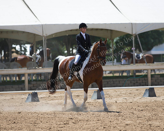 DAHA_SH18_THURS_7657