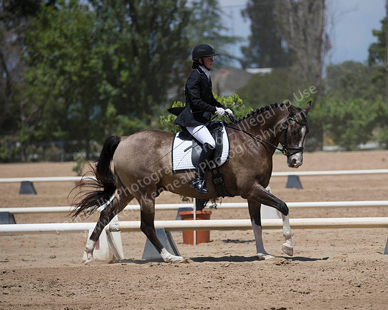 DAHA_SH18_THURS_7792