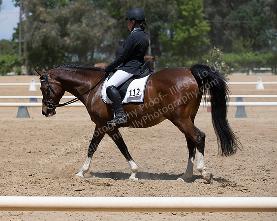 DAHA_SH18_THURS_7805