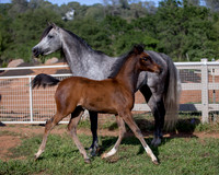 Martoglio0518_Makkena&Mellie_2780