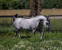 HoneysDiva_0346