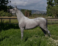 MoonHeiress18_0613