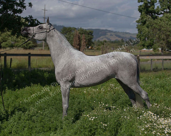 MoonHeiress18_0613