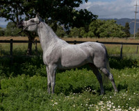 MoonHeiress18_0629