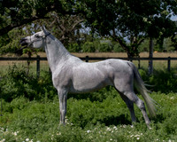 MoonHeiress18_0627