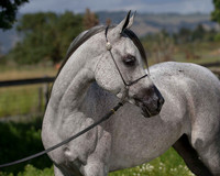 MoonHeiress18_0641