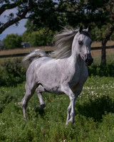 MoonHeiress18_0645