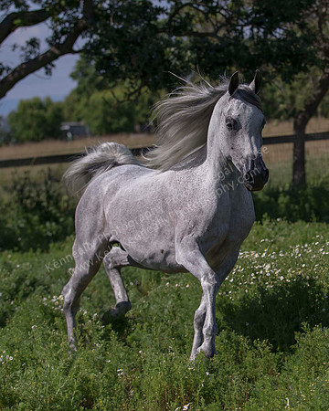 MoonHeiress18_0645
