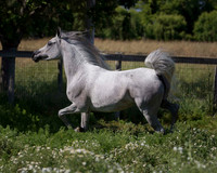 MoonHeiress18_0661
