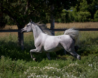 MoonHeiress18_0662