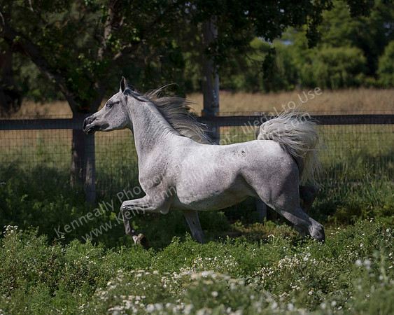 MoonHeiress18_0662